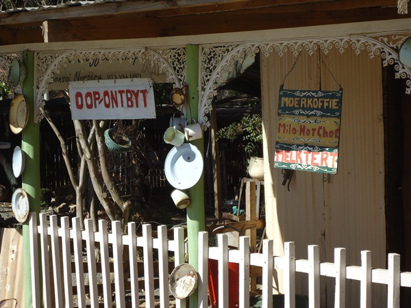 Frog Coffee Shop